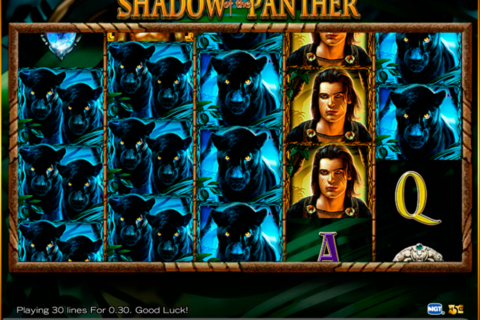 shadow of the panther high